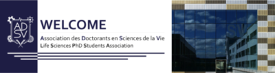 welcome to medidee